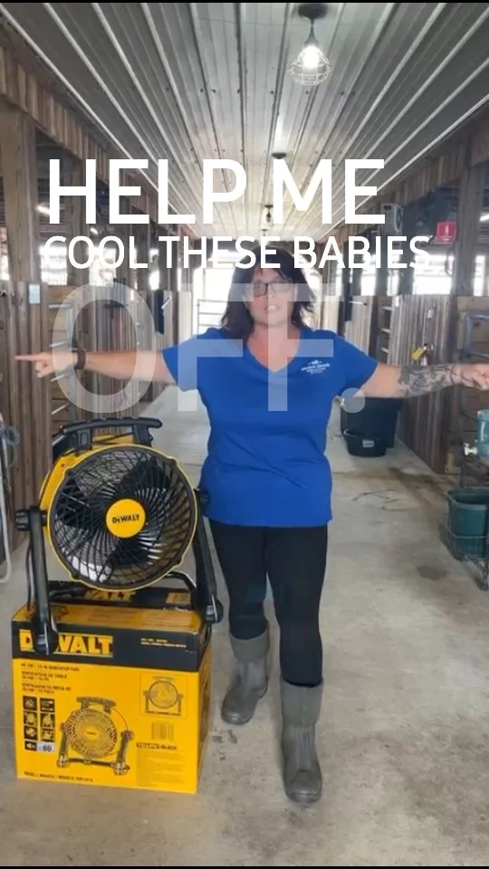 Help Linda reach her goal of 25 fans 🪭 for Sixteen Hands horses and donkeys!

Just $72 per fan 🪭 so that each horse (and donkey) can cool off while in the stall. It gets very HOT here in central Florida during the summer months. The air is often still, which makes the temperature feel like it's in the (humid) triple digits! 🥵

Who needs a fan? 🪭 
THEY need a fan! 🫏🐎

Donate NOW and note "FAN" in the comments ⤵️ when your favorite horse (or donkey) has a fan! 🪭

✨️ We are a 501(c)(3) nonprofit organization dedicated to rescuing unwanted, abused, and neglected horses and burros.  This Sanctuary is a refuge for those who have no other options, so they can come to heal mentally, emotionally, and physically.

‼️ DONATION INFORMATION ‼️
☆ = no donation fees 

PAYPAL - Sixteen Hands Horse Sanctuary, Inc.

VENMO - @SHHS16-2007

WEBSITE - sixteenhandshorsesanctuary.org 

☆ CHECKS, CASH, MONEY ORDERS, or MATERIAL DONATIONS - 
Sixteen Hands Horse Sanctuary
712 Roy Moore Road, Ona, FL 33865

#sixteenhandshorsesanctuary #theyneedfans  #wehavethebestvolunteers