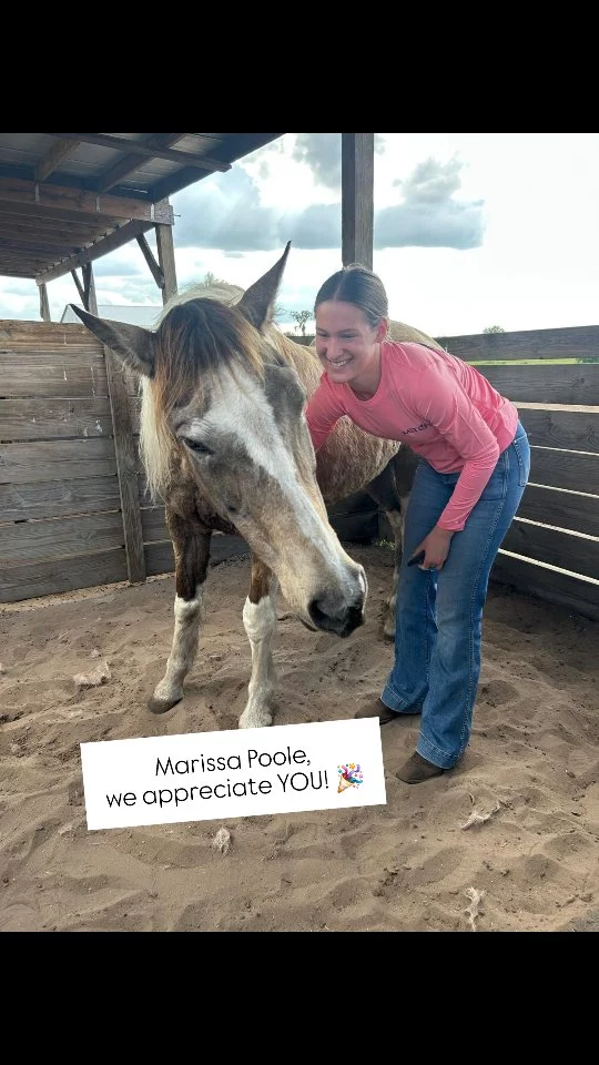 We are happy that you joined us, Marissa!

Marissa Poole is awesome. She’s a leader, easy to work with, and very welcoming! Best of all, Marissa is great with the horses. ❤️

What brought Marissa to Sixteen Hands Horse Sanctuary?

"I decided to volunteer because I love what Robin is doing for the horses and the care she puts in and I want to be around horses any chance I get. What amazing animals they are! During my volunteer time, I do the PM feed, drag the pastures, and talk to the horses. What I enjoy the most is seeing the horses happy and in a good home, rolling in the dirt enjoying life."

Aside from helping equines in need, it is equally as fulfilling to know the impact volunteer time has on each individual.

Thank you, Marissa, for connecting your love for rescued equines with our volunteer team. It has been a pleasure getting to know you. 🥰

✨️ We are a 501(c)(3) nonprofit organization dedicated to rescuing unwanted, abused, and neglected horses and burros.  This Sanctuary is a refuge for those who have no other options, so they can come to heal mentally, emotionally, and physically.

#sixteenhandshorsesanctuary #volunteerappreciationweek2025
#wehavethebestvolunteers