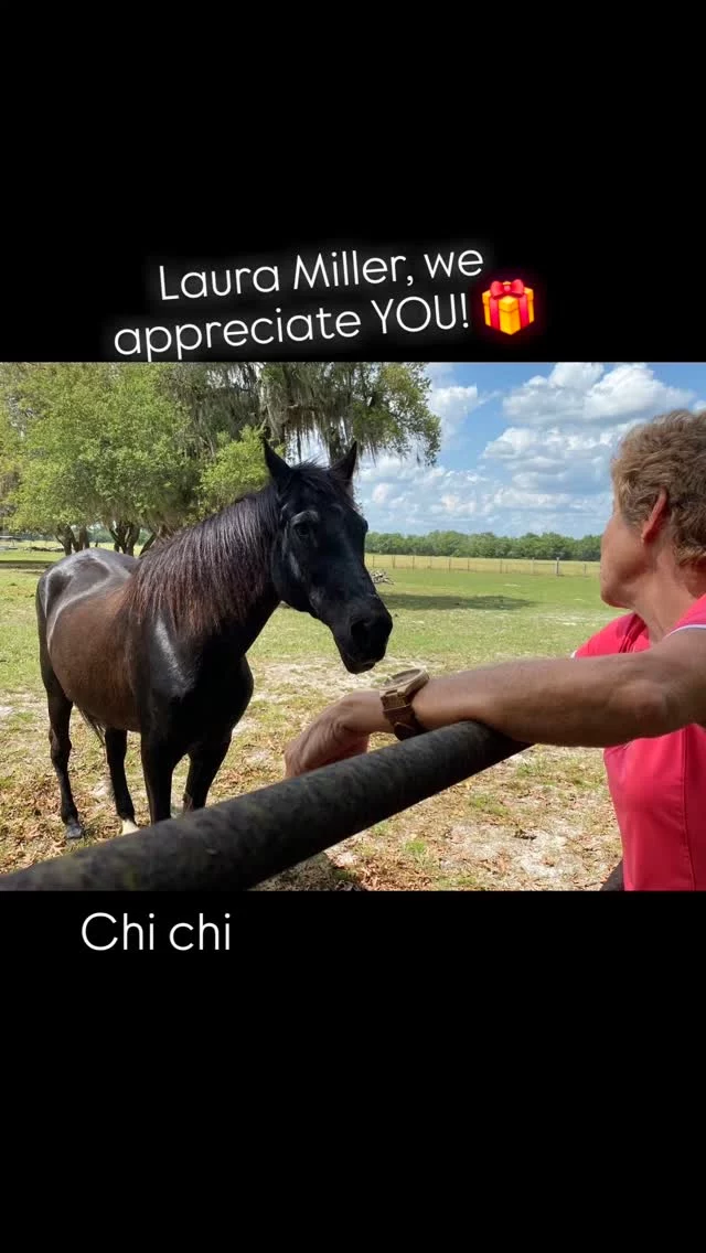 We are SO GLAD you found us, Laura!

Laura made her first connection with Sixteen Hands through her boss who saw Robin in line at Walmart, took a picture of her in her SHHS t-shirt, and shared the info with Laura. She was so passionate about equine rescue that she volunteered AND sponsored a horse on the very first day!

In the beginning, Laura drove from her home in St. Petersburg to assist weekly at the sanctuary. She has since bought property in Ona only a couple of miles away from us! Laura came out once a week for five years to help with the horses. 

Since moving near the sanctuary, she adopted two horses from us, Chi Chi and Mr. Peanut.  We were unable to take Chi Chi so she stepped in to foster her and then fell in love! Both horses were adopted by Laura in 2022.

Laura loves people and works in the hospitality business so she excels at events and making friends! While her hands-on support at the sanctuary has halted for a while she continues to help us with special events when needed. 

Friends such as Laura are truly treasured. We are grateful for those who marry their desire and abilities with this cause. Thank you, Laura, for your support and dedication!

✨️ We are a 501(c)(3) nonprofit organization dedicated to rescuing unwanted, abused, and neglected horses and burros.  This Sanctuary is a refuge for those who have no other options, so they can come to heal mentally, emotionally, and physically.

#sixteenhandshorsesanctuary #volunteerappreciationweek2025 #wehavethebestvolunteers