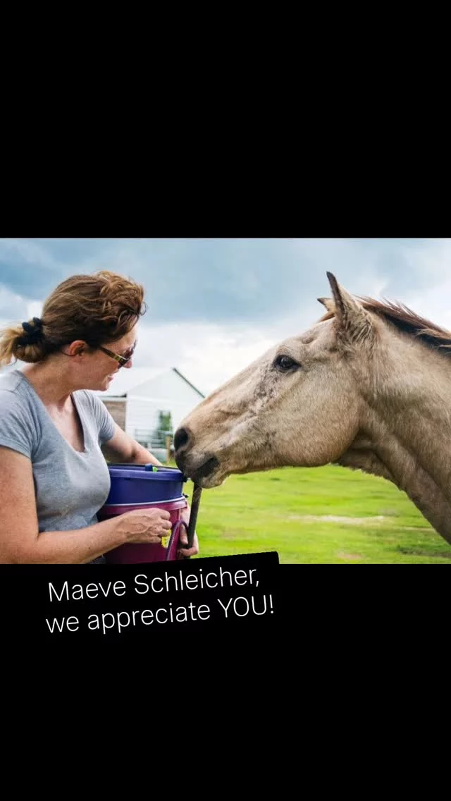 Thank you, Maeve, for your loyal service! ❤️

Maeve volunteered every Saturday until she bought property to have horses of her own. This property needed a lot of work to prepare for a horse so that took her away from being hands-on at the sanctuary. 

There was a special bond between Maeve and a SHHS resident named Bucky. She had spent many hours with him, even taking him to horsemanship clinics.  Sadly, he passed in 2022. It's people such as Maeve who love SHHS equines back to life until they take their last breath!

Another fun fact is that Maeve, together with another volunteer, agreed to lip-sync Bruno Mars’ song "Count on Me" for a fundraiser promo for the Community Foundation of Sarasota County Giving Challenge in 2020. Check out the video clip!

Maeve continues her support of Sixteen Hands by sponsoring our sweet resident named Nova. She also donates time and resources to compile our annual calendar fundraiser. Maeve found a wonderful photographer, Lee Ann Philips - Diamond in the Ruff Photography, who has contributed her talent to the project. 

We would love for everyone to enjoy their work! Calendars are available now for a $22 do-neigh-tion. Visit our website or contact Robin to get yours TODAY! 

Maeve, we appreciate your faithful assistance that keeps rescued equines safe, healthy, and loved! 🙏

✨️ We are a 501(c)(3) nonprofit organization dedicated to rescuing unwanted, abused, and neglected horses and burros.  This Sanctuary is a refuge for those who have no other options, so they can come to heal mentally, emotionally, and physically.

#sixteenhandshorsesanctuary #volunteerappreciationweek2025 #wehavethebestvolunteers