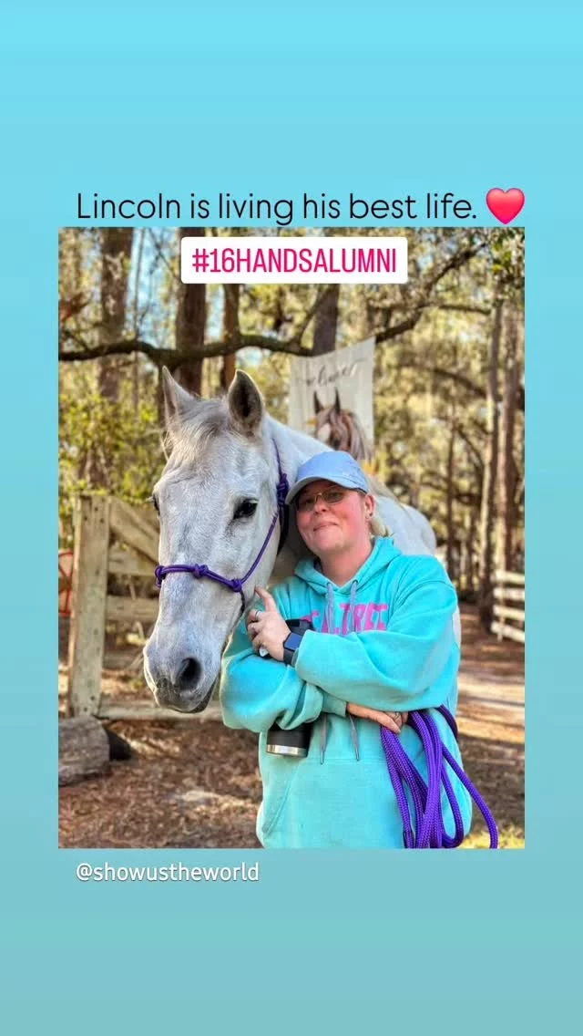 Has Sixteen Hands Horse Sanctuary made an impact?

Lincoln was surrendered to SHHS and then adopted by Krystal and Nathan Showalter. This is Lincoln today with Jessica Showalter. These two are now inseparable. Who has made a greater impact on the other? That would be difficult to determine.

Horses are given up for many reasons. Rehoming a large animal is not easy, which is why horse rescues play a critical role in the community. If you care about horses and donkeys but don't know how you could help, please consider one of the options shown below.

✨️ Follow us on Instagram and Facebook... then like, and share our posts!

✨️ Donate through one of the links on our pages or sixteenhandshorsesanctuary.org 

✨️ Sponsor one of our horses

✨️ Join our volunteer team

✨️ Donate gently used tack or other equine supplies for our SHHS Tack Sale store

✨️ We are a 501(c)(3) nonprofit organization dedicated to rescuing unwanted, abused, and neglected horses and burros.  This Sanctuary is a refuge for those who have no other options, so they can come to heal mentally, emotionally, and physically.

#sixteenhandshorsesanctuary #shhsLincoln #SHHSalumni #rescuedhorses #whorescuedwho
