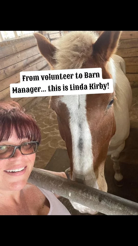 BREAKING NEWS!! Robin is thrilled to announce that Linda Kirby has accepted the position of Sixteen Hands Barn Manager! 🎊

There are many moving components to equine upkeep. Then add the arduous tasks required to keep a nonprofit's wheels turning. A day does not hold enough hours for one person to maintain every aspect with excellence. 

In December 2023, Linda stepped in as a volunteer and then diligently followed through with the required training to assist with all aspects of SHHS barn duties. Growing up with horses, Linda maintains a strong passion for equine welfare. Passion with action breeds success!

Not only is Linda great with the animals, but her enthusiasm and drive are contagious! She sees a need and rallies the troops. It is a blessing to everyone that she has joined our team!

Congratulations Linda! Thanks for your YES. 🎁

#sixteenhandshorsesanctuary
#thanksforyouryes #shhsbarnmanager