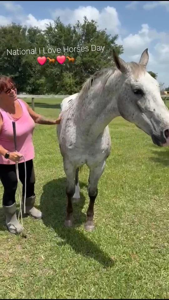 Today is NATIONAL I LOVE HORSES DAY!

Horses have MANY amazing attributes, so how could we just pick one? The best way to celebrate this day is to hear from each of you, so...

➡️ Please tell us a few reasons why YOU 💕 horses! ⤵️

✨️ We are a 501(c)(3) nonprofit organization dedicated to rescuing unwanted, abused, and neglected horses and burros. This Sanctuary is a refuge for those who have no other options, so they can come to heal mentally, emotionally, and physically.

#sixteenhandshorsesanctuary #NationalILoveHorsesDay
#welovehorses #letmecallyousweetheart