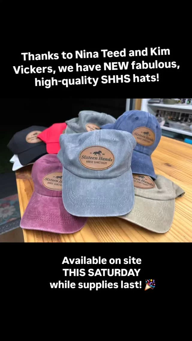 ➡️ THIS SATURDAY! ⬅️ 
📢 August 9 from 9 am until NOON - SHHS TACK AND SUPPLY SALE/FUNDRAISING EVENT 712 Roy Moore Road, Ona, Florida 
Save the date and share with your friends! 🗓

You will want to shop our air-conditioned ❄️ space filled with gently loved tack and a wide variety of equine supplies. Don't miss the fantastic deals on quality items including English and Western saddles, saddle pads, bridles, head stalls, bits, halters, lead lines, carrot sticks, blankets, brushes, leg wraps, hay nets, stall guards, hoof pads, hoof picks, brushes, boots (for horses and humans!) wind chimes, books, equine supplies... too many items to list!

There is also plenty of Sixteen Hands merchandise including stainless cups (of varied sizes), t-shirts, and, yes, 2025 calendars! 

🏨 All proceeds to benefit Sixteen Hands residents and (specifically) to replenish the medical fund. ‼️ 2025 emergency medical expenses have exceeded $20,000 ‼️ This has been a heavy hit, so we are grateful 🙏 for your help rebuilding the health care fund! 🚑

🗣 Please get the word out to all of your friends! These items will not last, so come early and save BIG! 🛍 

✨️ We are a 501(c)(3) nonprofit organization dedicated to rescuing unwanted, abused, and neglected horses and burros. This Sanctuary is a refuge for those who have no other options, so they can come to heal mentally, emotionally, and physically.

#sixteenhandshorsesanctuary
#shhstackandsupplysale #comeearlysavebig #forthehorses #nonprofit
