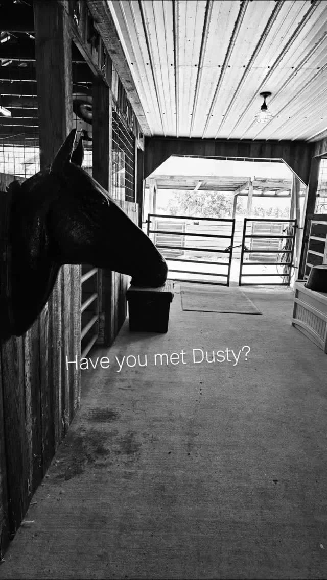 Have you met Dusty?

Dusty has been a SHHS resident for quite some time. He is an easy keeper who prefers to hang by himself! Dusty waits calmly while new volunteers learn to put on and tie a rope halter. 

There are a few from the herds who will give a measure of patience, but Dusty stands alone during the awkward, first stages of practice. Once there is confidence in the process, then it is time to add the nuances of a live horse (or donkey!)

We would love for you to join our volunteer team and introduce you to Dusty! The volunteer application is on our website sixteenhandshorsesanctuary.org. See you soon! 🐎🫏

✨️ We are a 501(c)(3) nonprofit organization dedicated to rescuing unwanted, abused, and neglected horses and burros. This Sanctuary is a refuge for those who have no other options, so they can come to heal mentally, emotionally, and physically.

#sixteenhandshorsesanctuary #wehavethebestvolunteers #shhsDusty #trainingday
