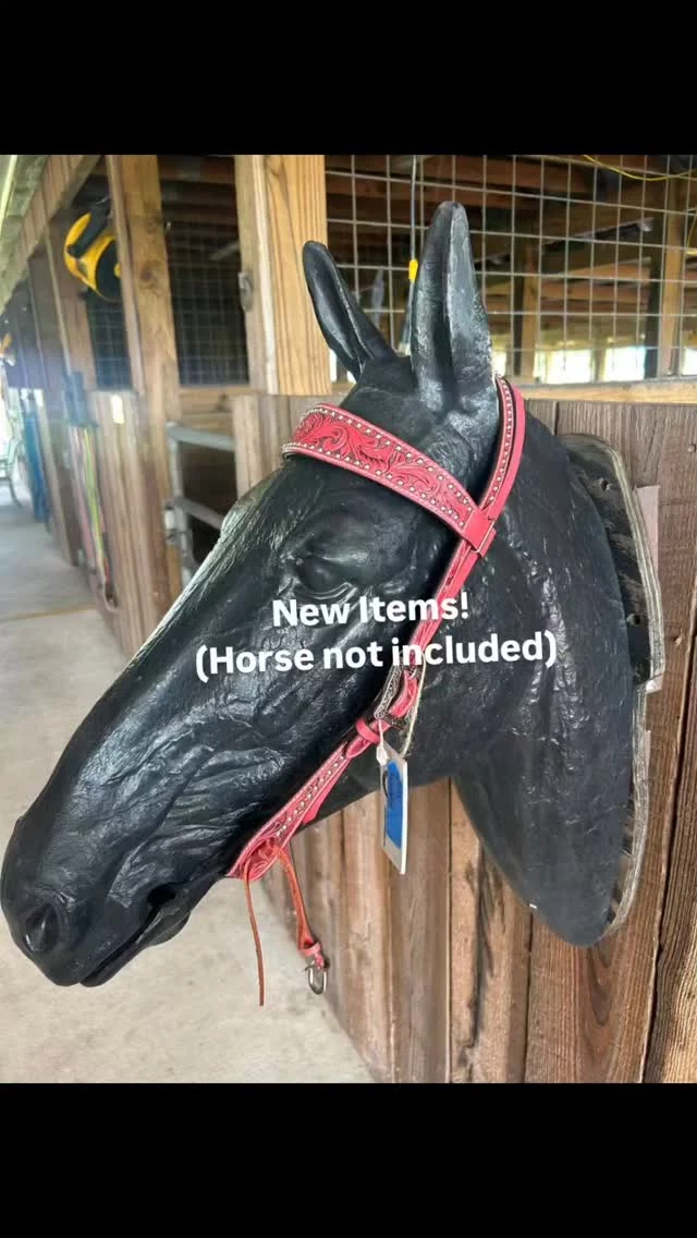 ‼️TOMORROW‼️

 📢 August 9 from 9 am until NOON - SHHS TACK AND SUPPLY SALE/FUNDRAISING EVENT 712 Roy Moore Road, Ona, Florida 
Save the date and share with your friends! 🗓

You will want to shop our air-conditioned ❄️ space filled with gently loved tack and a wide variety of equine supplies. Don't miss the fantastic deals on quality items including English and Western saddles, saddle pads, bridles, head stalls, bits, halters, lead lines, carrot sticks, blankets, brushes, leg wraps, hay nets, stall guards, hoof pads, hoof picks, brushes, boots (for horses and humans!) wind chimes, books, equine supplies... too many items to list!

There is also plenty of Sixteen Hands merchandise including stainless cups (of varied sizes), t-shirts, and, yes, 2025 calendars! 

🏨 All proceeds to benefit Sixteen Hands residents and (specifically) to replenish the medical fund. ‼️ 2025 emergency medical expenses have exceeded $20,000 ‼️ This has been a heavy hit, so we are grateful 🙏 for your help rebuilding the health care fund! 🚑

🗣 Please get the word out to all of your friends! These items will not last, so come early and save BIG! 🛍 

✨️ We are a 501(c)(3) nonprofit organization dedicated to rescuing unwanted, abused, and neglected horses and burros. This Sanctuary is a refuge for those who have no other options, so they can come to heal mentally, emotionally, and physically.

#sixteenhandshorsesanctuary
#shhstackandsupplysale #comeearlysavebig #forthehorses #nonprofit