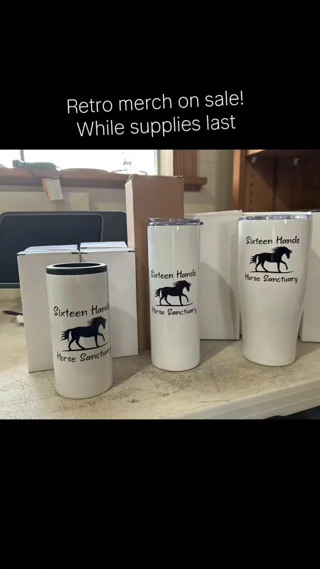 Out with the old...

These "retro" can coolers and tumblers are fabulous and now they have been reduced for quick sale!

4 - 30 oz tumblers 
1 - 20oz tumbler
5 - skinny can coolers

Get yours NOW before they are gone forever. Every dollar benefits rescued equines and helps to recoup over $20,000 in emergency medical expenses incurred this year. 🚑

THANK YOU 🙏 for supporting SHHS through (almost) eighteen years of equine rescue. It has been an honor to serve the community by offering large animal care and services. 🎁

✨️ We are a 501(c)(3) nonprofit organization dedicated to rescuing unwanted, abused, and neglected horses and burros. This Sanctuary is a refuge for those who have no other options, so they can come to heal mentally, emotionally, and physically.

#sixteenhandshorsesanctuary #sixteenyearsandcounting #nonprofit #501c3