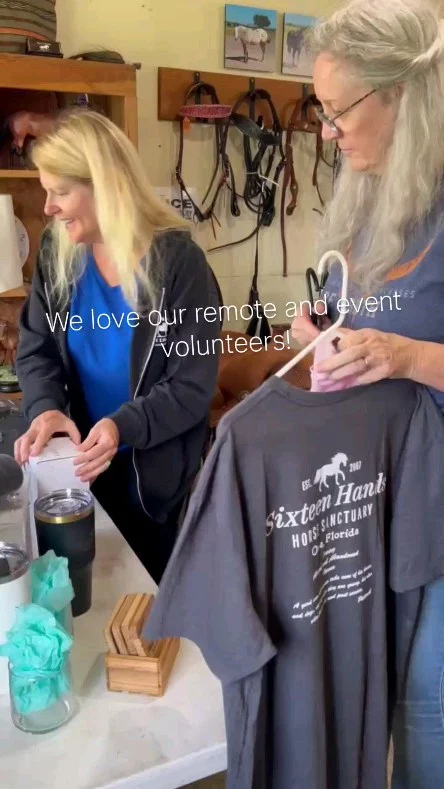 We ❤️ our remote and event volunteers! 

Maeve is one of our wonderful volunteers who used to be hands-on with our herds until she got a few horses of her own. Now, she puts together our fundraising calendars and also sponsors sweet Nova! One never knows the impact volunteering will have. 🫶

Special thanks to Nina Teed for help with preparation, organization, and making new merchandise for the tack sale fundraiser. 💪

We appreciate you, Nina and Maeve! 🎁

✨️ We are a 501(c)(3) nonprofit organization dedicated to rescuing unwanted, abused, and neglected horses and burros. This Sanctuary is a refuge for those who have no other options, so they can come to heal mentally, emotionally, and physically.

#sixteenhandshorsesanctuary #wehavethebestvolunteers #shhstacksalefundraisers #nonprofit #forthehorses