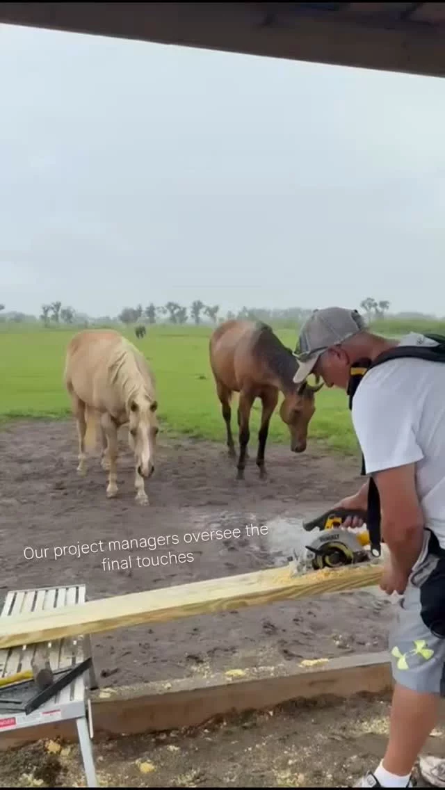 Jim put the finishing touches on this shelter 💫

Termites and Florida weather make short work of wood. Jim has covered every detail to keep this place intact through storms and hurricanes. 

When the rains come, this is where the horses and donks come to stay dry. When the sun becomes too much, this is where they get a reprieve. Shelters are valued real estate during the summer months. 

✨️ We are a 501(c)(3) nonprofit organization dedicated to rescuing unwanted, abused, and neglected horses and burros. This Sanctuary is a refuge for those who have no other options, so they can come to heal mentally, emotionally, and physically.

 ➡️There are many ways to partner with Sixteen Hands Horse Sanctuary:

✨️ Follow us on Instagram, Facebook, and TikTok... then like, and share our posts!

✨️ Donate through one of the links on our pages or sixteenhandshorsesanctuary.org 

✨️ Sponsor one of our horses via sixteenhandshorsesanctuary.org 

✨️ Join our volunteer team

✨️ Donate gently used tack or other equine supplies for our SHHS Tack Sale store