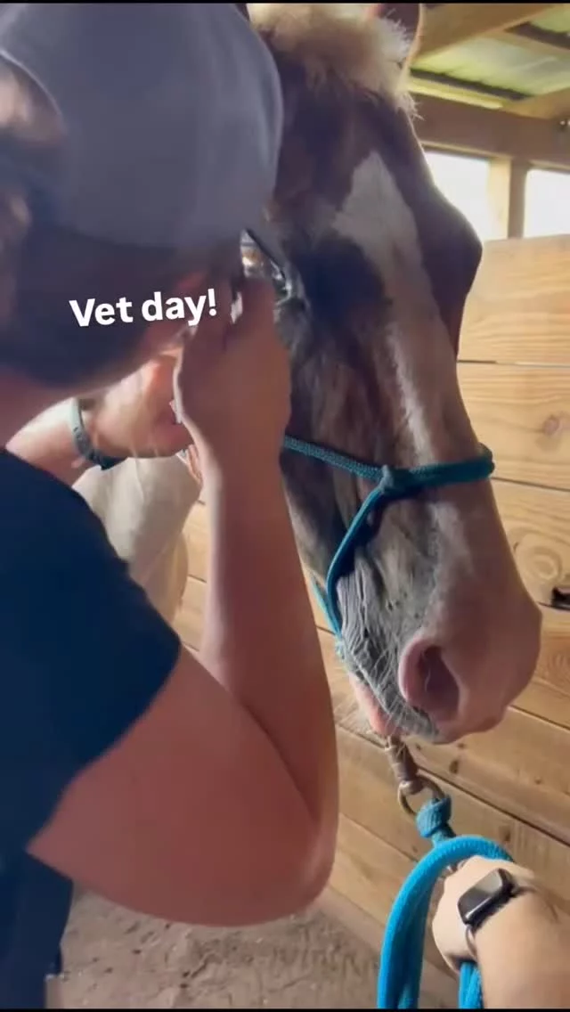 Vet day

Update from Robin...

"Dakota’s eye is healed. We no longer need to put a fly mask on him. Ten horses had blood pulled for their annual Coggins test. We had Dr. Krisch check Lexie’s eyes as she had an irritated eye the other day. The doctor said she has the start of uveitis in the right eye and it could flare up and cause pain.  She is going to prescribe meds to use to treat it as needed for flare-ups.  All the horses were stellar patients. Well Gypsy didn’t like the needle, but I don’t blame her." 

✨️ We are a 501(c)(3) nonprofit organization dedicated to rescuing unwanted, abused, and neglected horses and burros. This Sanctuary is a refuge for those who have no other options, so they can come to heal mentally, emotionally, and physically.

❣️JOIN CLUB 16 HANDS❣️
➡️This is a recurring monthly doNEIGHtion of $16.00 that assists with the rising costs of horse care and unforseen emergencies. ⬅️

🎁 PayPal - Sixteen Hands Horse Sanctuary, Inc. (link in social media profiles)

*NEW* 🎁 Square (link in social media profiles)

🎁 MONTHLY cash, check, or money order made payable to 
Sixteen Hands Horse Sanctuary
712 Roy Moore Road, Ona, FL 33865

#sixteenhandshorsesanctuary #vetday #coggins #equineeyes  #sarasotaequineveterinaryservices #shhsherds