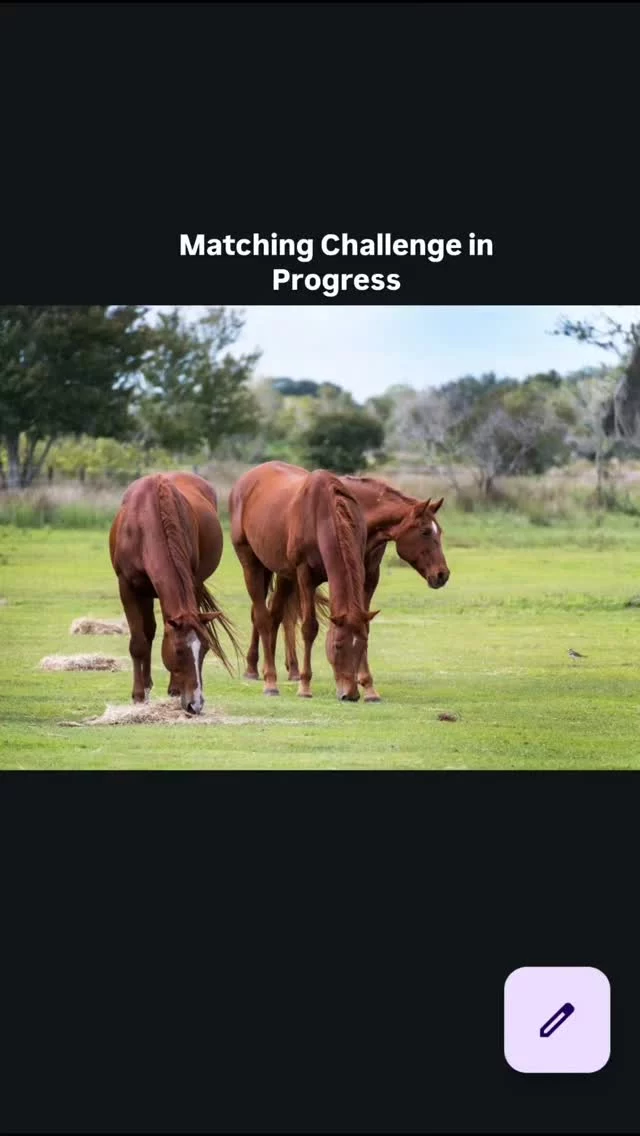 We’re close—but not there yet.

Thanks to our community, $9,930 has been raised, leaving $2,070 to unlock the full match.

During our December Matching Challenge, every dollar is doubled, helping provide feed, veterinary care, and safety for our rescued horses.

If you’ve been waiting for the right moment, this is it. Your gift today goes twice as far.

Donate here (no fees):
👉 zeffy.com/en-US/donation-form/matching-challenge--2025

OR

Mail cash or a check made payable to Sixteen Hands Horse Sanctuary 712 Roy Moore Road, Ona, Florida 33865
