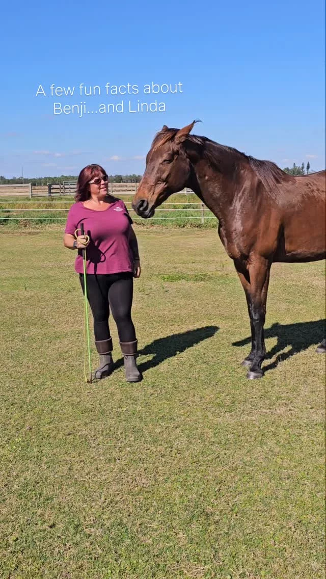 Many thanks to today's donors!

Susan N
Laura M - a SHHS volunteer 
Alma Q

Woo hoo!! Your donation dollars were DOUBLED for an even greater impact! 🎉

Robin's goal to financially prepare the sanctuary for 2026 is $60k. As of yesterday, there was still $44,500 left to cover that. 

We have faith that this can be done! Sixteen Hands has diligently and ethically cared for equines as a nonprofit organization for over eighteen years. Let's ring in the new year with assurance of health and safety for the herds!

🚨Help us help them🚨

Donations can be made through this link (no fees required!):
zeffy.com/en-US/donation-form/matching-challenge--2025

OR

Send cash or a check made payable to Sixteen Hands Horse Sanctuary 
712 Roy Moore Road, Ona, FL 33865

✨️ We are a 501(c)(3) nonprofit organization dedicated to rescuing unwanted, abused, and neglected horses and burros. This Sanctuary is a refuge for those who have no other options, so they can come to heal mentally, emotionally, and physically.

#sixteenhandshorsesanctuary #matchingchallenge2025 #equinerescuesanctuary #nonprofit #501c3 #shhsBenji