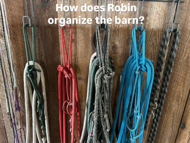 Robin offers simple methods that help our volunteers to stay organized.

Rope Halters

(First photo) Our rope halters are color coded to the size horse. The green is mini, the red is large pony-donkey, the black is regular horse, the blue is warmblood. They are also tied with what we call an “on the barn knot”. This is a slip knot that allows you to untie it quickly. 

Savvy String

(Second photo) These strings are called Savvy Strings. Everyone should have one in their pocket, or their waistband/ belt (Not tied on your body anywhere or hanging around your neck), these are mandatory for several reasons. Most importantly, they are used to communicate with the horse (or donkey) to maintain safe boundaries. A Savvy String, used correctly, let's the equine know that you are the leader so they can feel safe if a scary situation arises. The Savvy String IS NOT a whip or method of punishment toward an animal. 🚫

(Video) As shown in all media visuals, SHHS equines are never let out to pasture wearing a halter. They are able to find ways to hurt themselves without our help. 😉

Please SHARE with your friends and FOLLOW us for more barn tips! 🤠

✨️ We are a 501(c)(3) nonprofit organization dedicated to rescuing unwanted, abused, and neglected horses and burros. This Sanctuary is a refuge for those who have no other options, so they can come to heal mentally, emotionally, and physically.

#sixteenhandshorsesanctuary #barnlife #barntips #experiencebreedswisdom
#ropehalters #savvystring #barnorganization