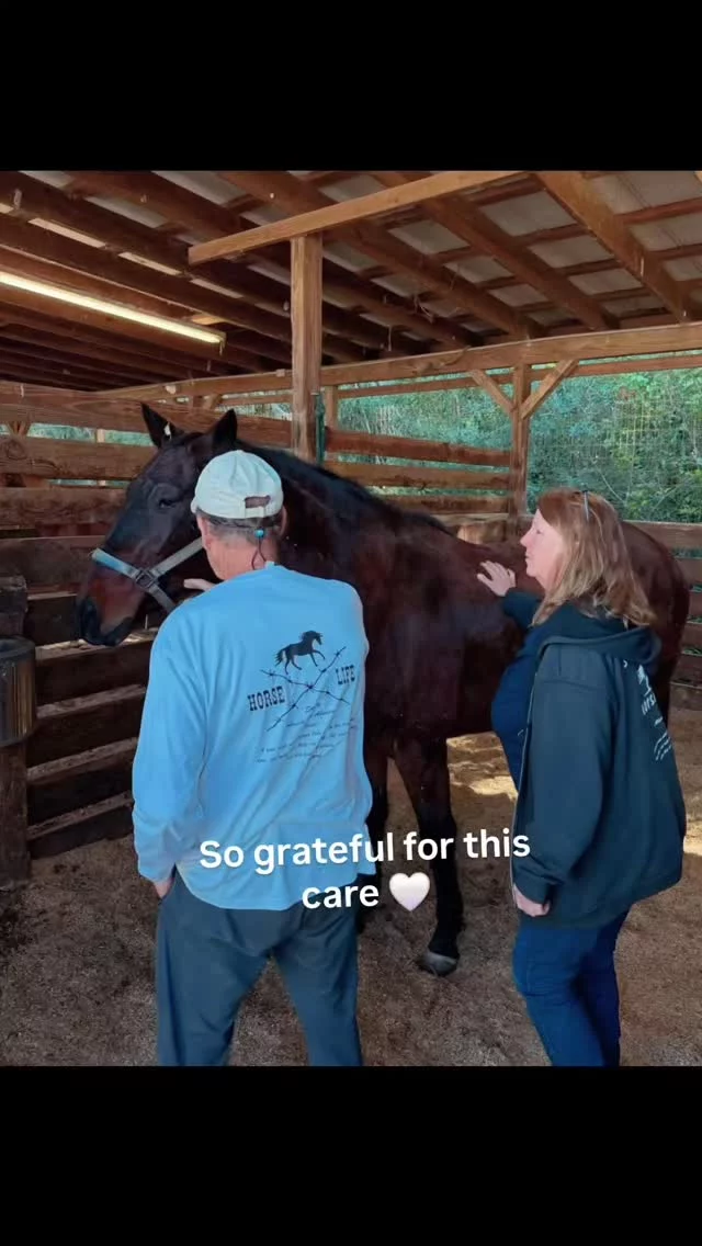 We want to extend our heartfelt thanks to Prince Farm for the exceptional care they’ve been providing Scutter during his recovery.

From the moment he arrived, every detail has been handled with patience, skill, and deep compassion. The facility is immaculate, the care is thoughtful, and most importantly, Scutter is being treated as the individual he is.

We are so grateful to have partners like this supporting our horses when they need it most.

Thank you, Prince Farm, for everything you are doing for Scutter. 🤍

#Grateful
#EquineRehab
#HorseRescue
#ThankYou
#shhsScutter
