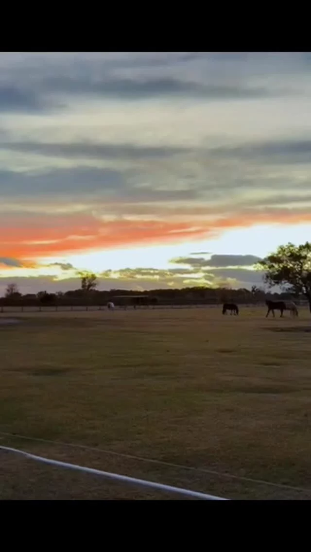 Colorful endings to a long Monday. 🌅

#floridasunset #hardeecounty #rescuedhorses #America