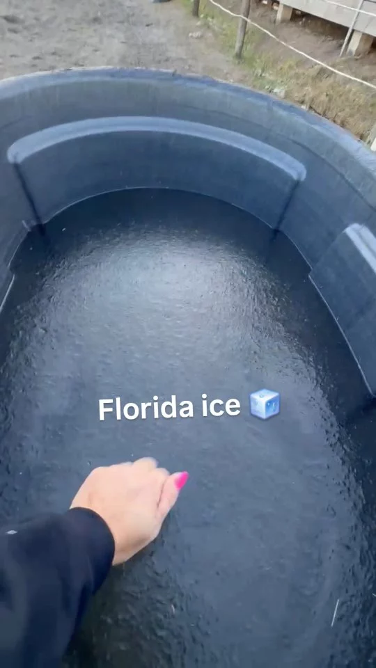 Floridians, how did you fare?

Our equines are great, but it sure was cold!

Linda arrived early to warm their water and serve breakfast. ❤️

#sixteenhandshorsesanctuary #floridawinter #winterweather