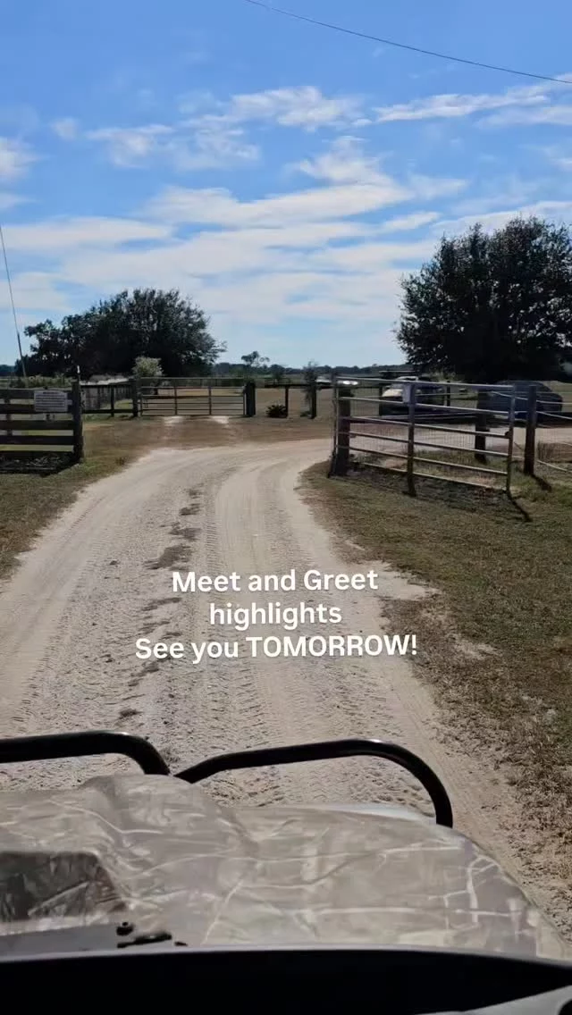 Tomorrow 🤍

We’re opening the gates for our Meet & Greet at Sixteen Hands.

Meet the horses, hear their stories, enjoy a charcuterie assortment & wine, while spending a peaceful evening at the sanctuary.

Gypsy. Tonka. Dakota. And friends!
A whole lot of heart 💙

RSVP and tickets required for entry

🔗 Ticket link in bio

#16hands #meetandgreet #VIP #floridasanctuary