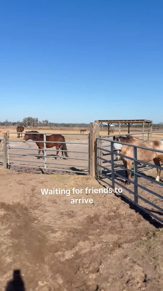Waiting patiently at the gates 💙

Every spot for today’s Meet & Greet is filled, and our hearts are so full.

Thank you to everyone joining us this afternoon — we’ll see you soon ✨

More moments, more connection, more chances coming soon.