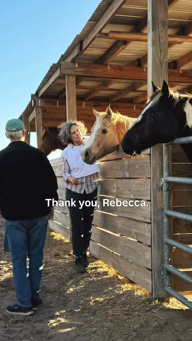 We are incredibly grateful to Rebecca and Bill Georgiou for the heart they brought to our Meet & Greet.

Rebecca not only volunteered her time to help coordinate the evening, she also helped initiate support that made the event possible. Her dedication to our mission continues to move us forward.

Bill Georgiou, owner of The Burg Bar & Grill, generously donated the ice and beer that helped create such a welcoming atmosphere for our guests. Their initiative and generosity set the tone for a truly special night.

We are also thankful for their continued community presence through:

The Burg Bar & Grill
1752 Central Avenue
St. Petersburg, Florida

The Burg Diner
2950 49th St N
Saint Petersburg, Florida

It is because of community partners like Rebecca and Bill that our horses receive the care they deserve. We are deeply thankful.

#16hands #theburgbarandgrill #communitypartnership #meetandgreet