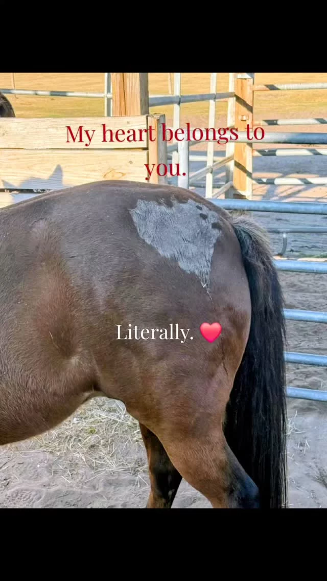 Proof that love is written all over. ❤️

Nature did this… we’re just sharing it.

Happy Valentine’s Day from Sixteen Hands 🐎

Drop a ❤️ if you see it.

#valentinesday2026 #16hands #seethelove #floridaequinesanctuary