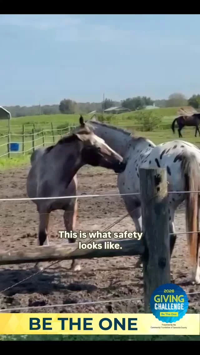 Some of them were almost the ones with nowhere left to go.  Not because they weren’t good.
Not because they didn’t matter.
But because space runs out.  And when it does, moments like this don’t happen.  This — the quiet, the trust, the connection — only exists because someone made room for them.  Starting Wednesday at noon, the Giving Challenge begins.  For 24 hours, every donation from $25 to $100 is matched.  One choice becomes twice the impact.  The first 50 nonprofits to reach 50 unique donors each receive an additional $250 prize.  If there was nowhere for them to go… what would you do?  Link in bio during event.  #GivingChallenge2026 #BeTheOne